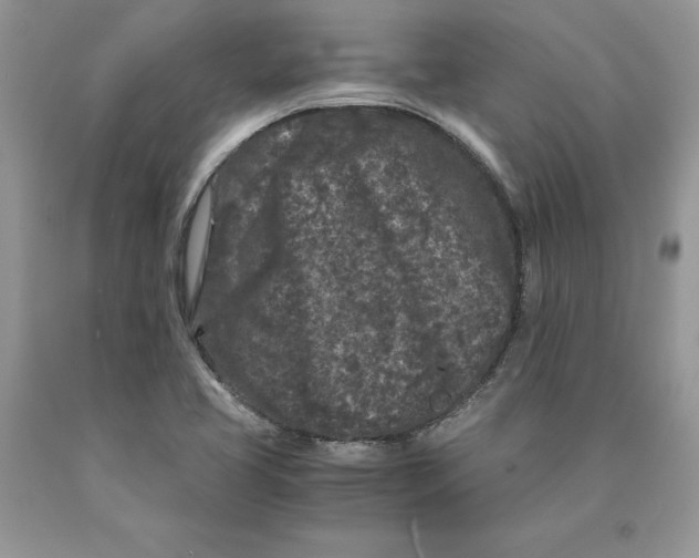 X0000089951413200707271830