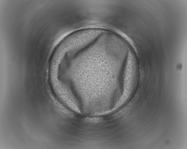 X0000089951415200707271830