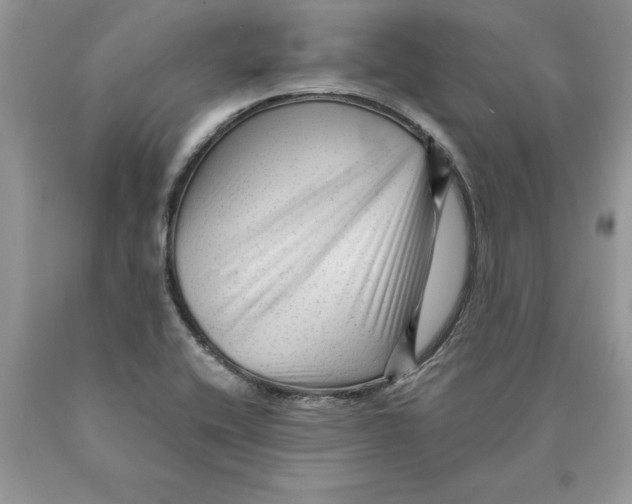 X0000089951416200707271830