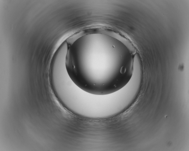 X0000089951418200707271830