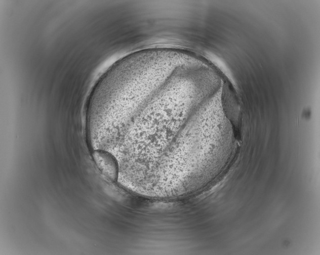 X0000089951419200707271830