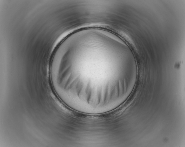 X0000089951420200707271830