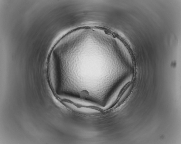 X0000089951421200707271830