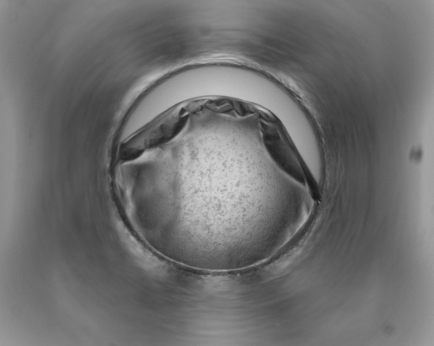 X0000089951422200707271830