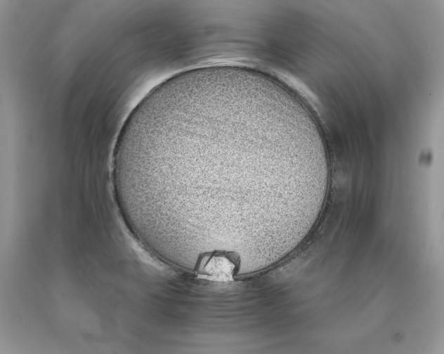 X0000089951423200707271830