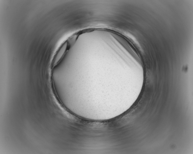 X0000089951424200707271830