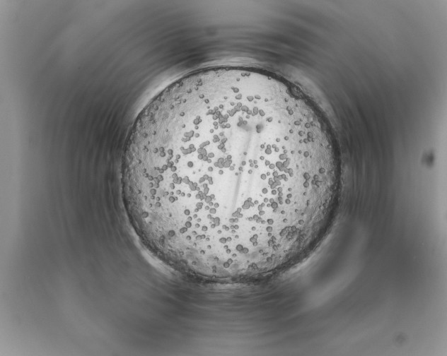 X0000089951425200707271830