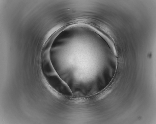 X0000089951426200707271830