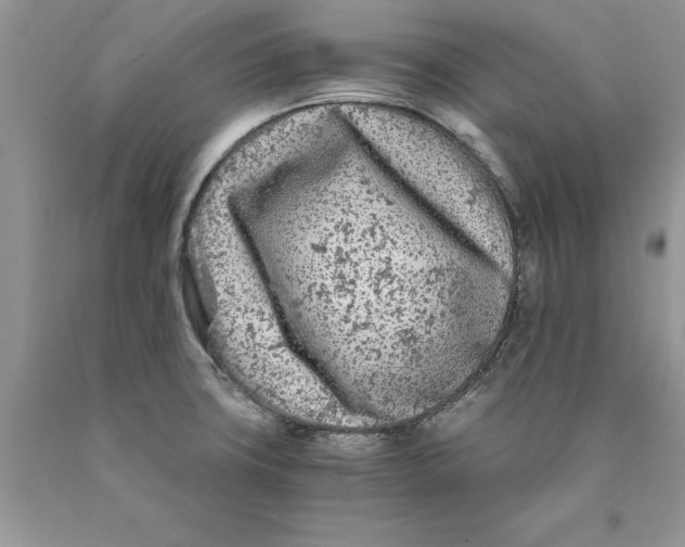 X0000089951427200707271830