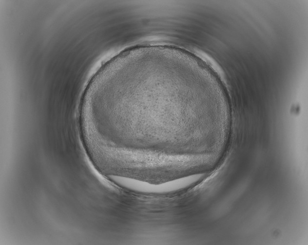 X0000089951429200707271830