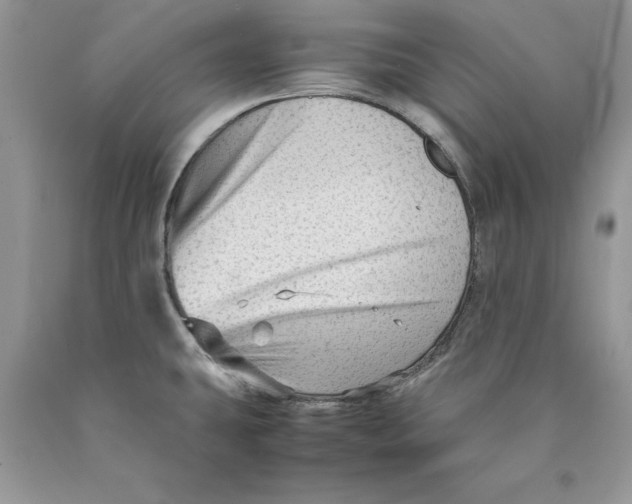 X0000089951431200707271830