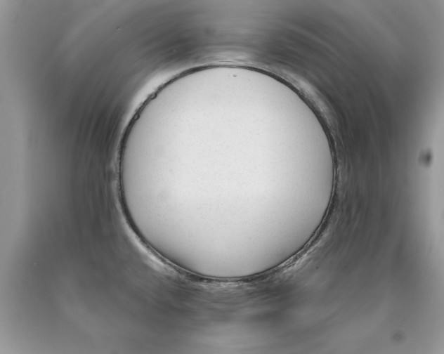 X0000089951432200707271830