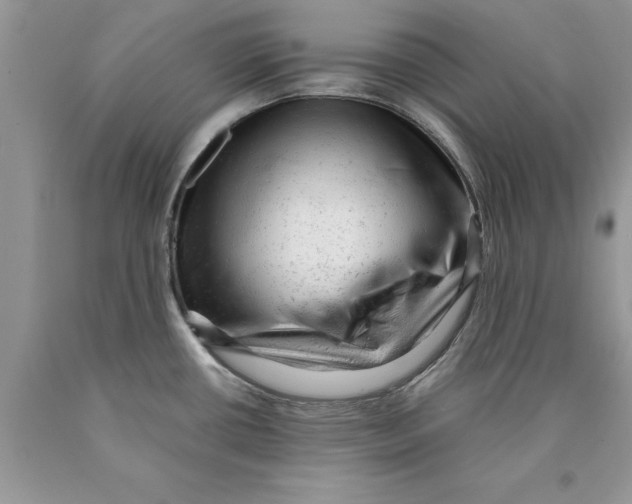 X0000089951434200707271830