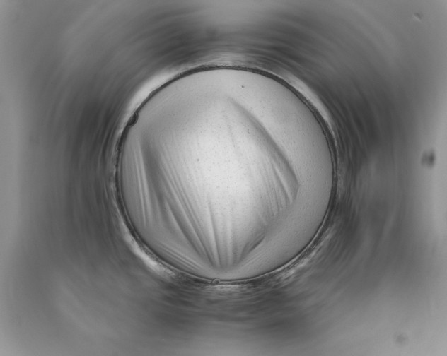 X0000089951437200707271830