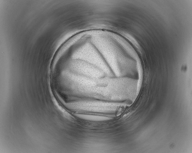 X0000089951439200707271830