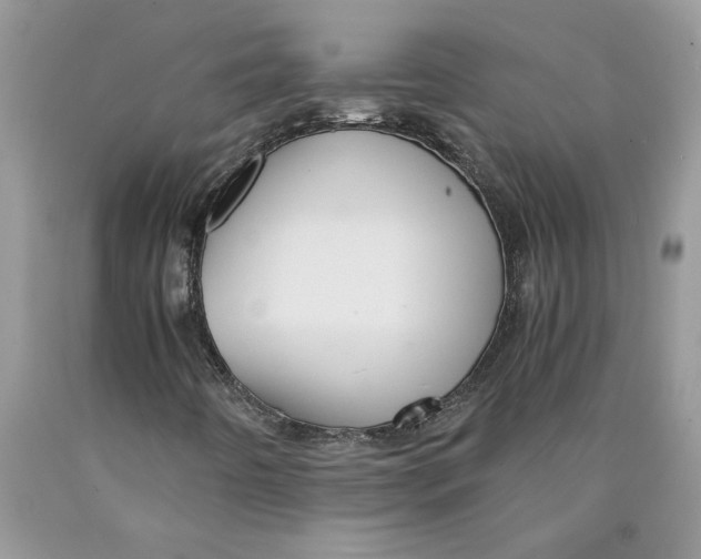 X0000089951442200707271829