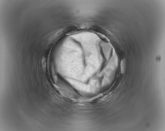 X0000089951443200707271829