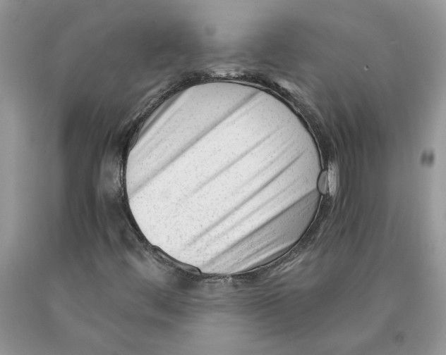 X0000089951444200707271829