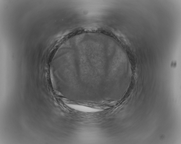 X0000089951445200707271829