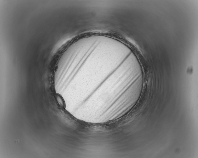 X0000089951448200707271829