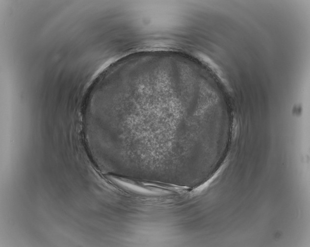 X0000089951449200707271829