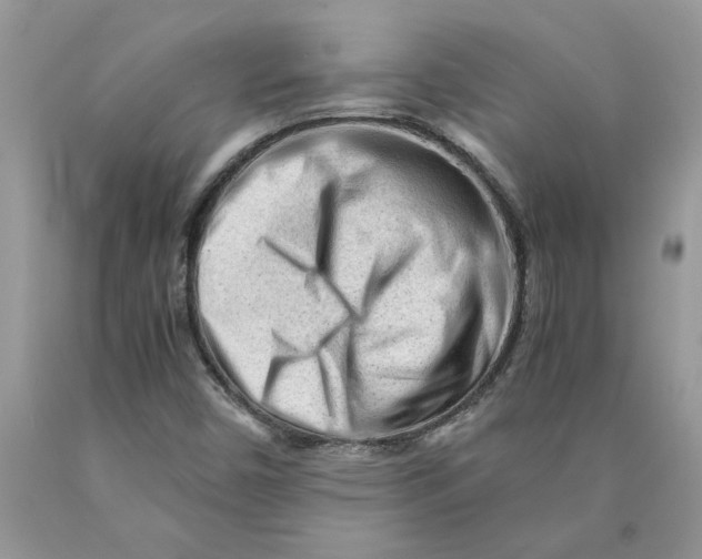 X0000089951450200707271829