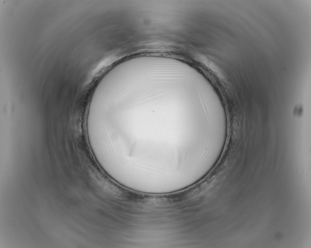 X0000089951451200707271829