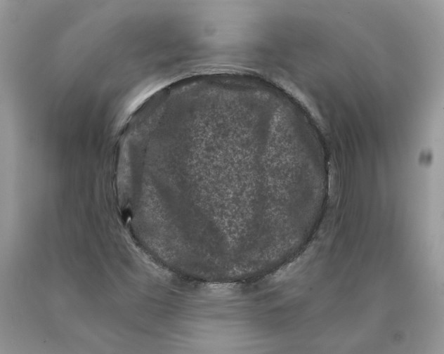 X0000089951453200707271829