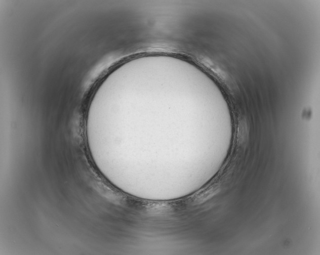 X0000089951454200707271829