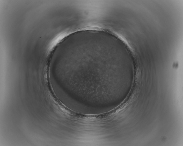 X0000089951455200707271829