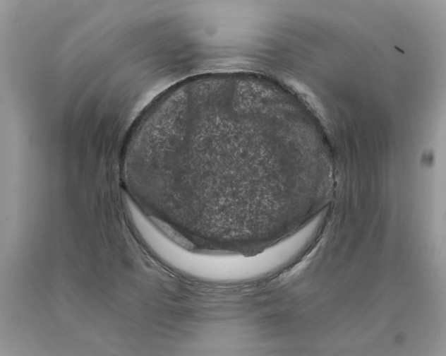 X0000089951457200707271829