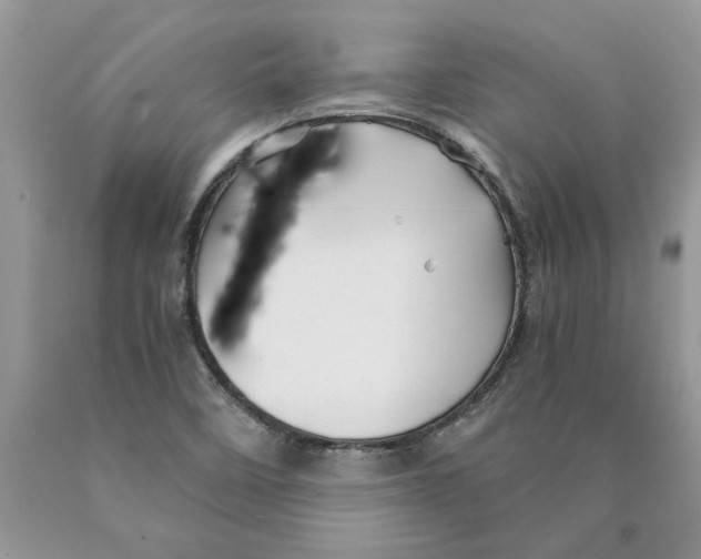 X0000089951458200707271829