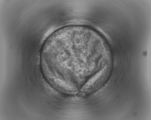 X0000089951459200707271829