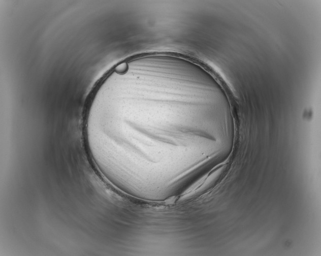 X0000089951460200707271829