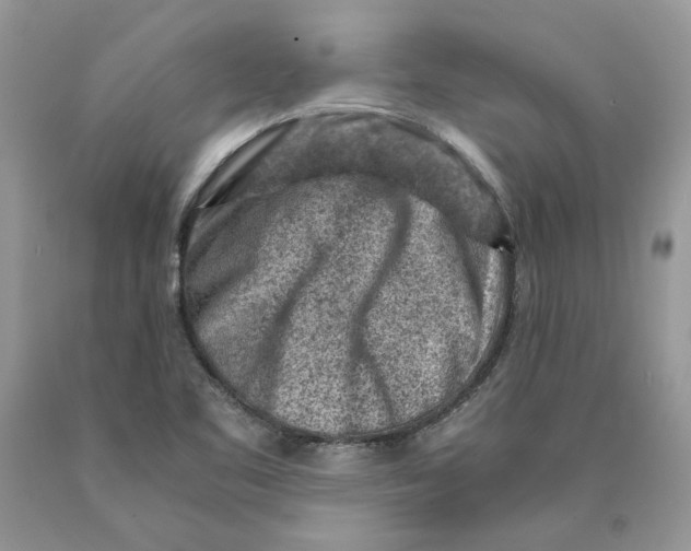 X0000089951461200707271829