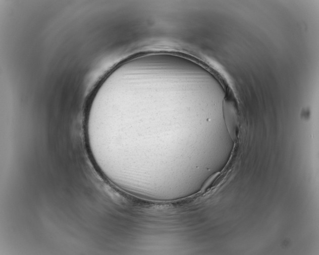 X0000089951464200707271829