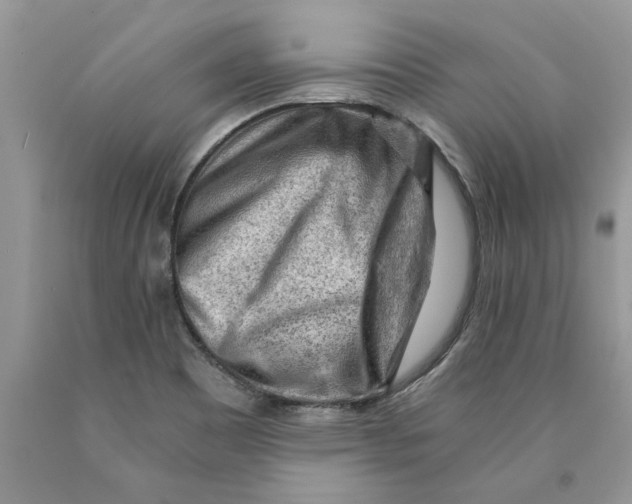 X0000089951465200707271829