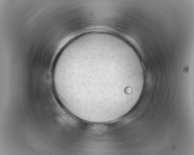 X0000089951466200707271829