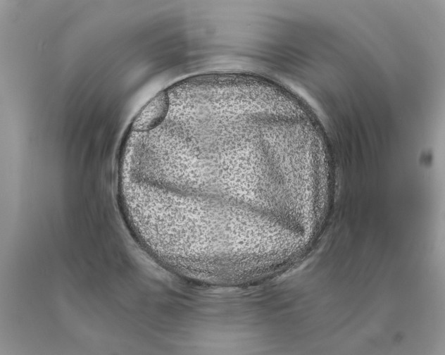 X0000089951467200707271829