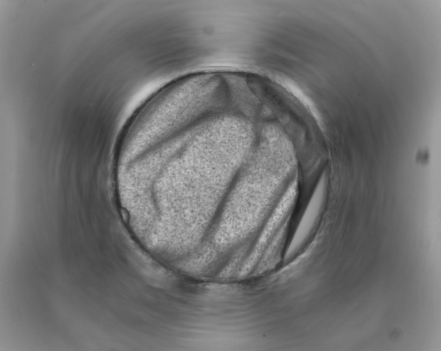 X0000089951469200707271829