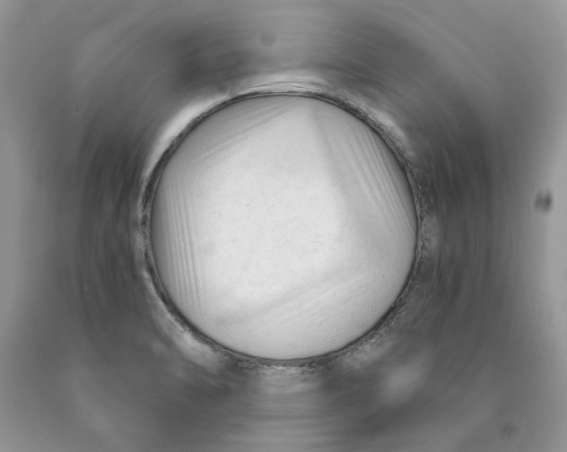 X0000089951470200707271829