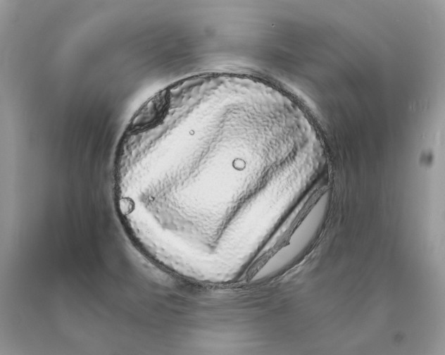 X0000089951471200707271829