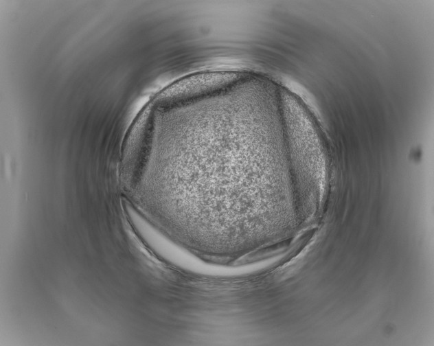 X0000089951473200707271829