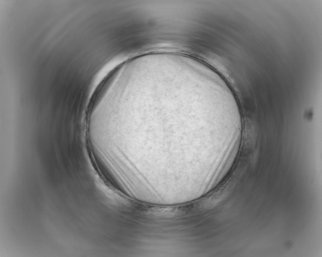 X0000089951474200707271829