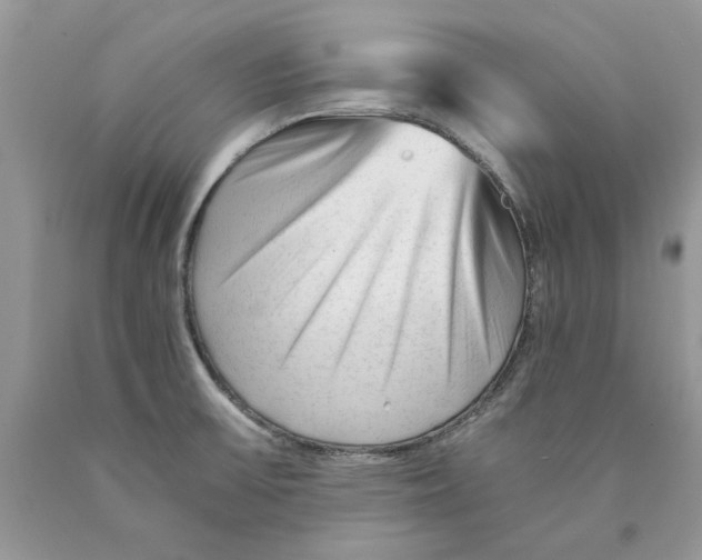 X0000089951475200707271829