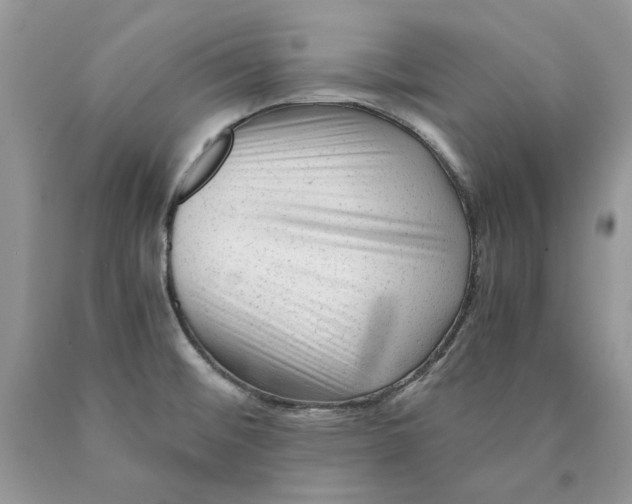 X0000089951476200707271829