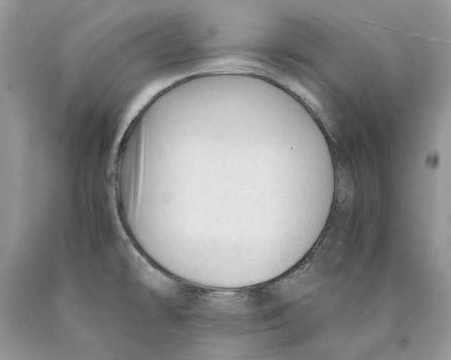 X0000089951478200707271829