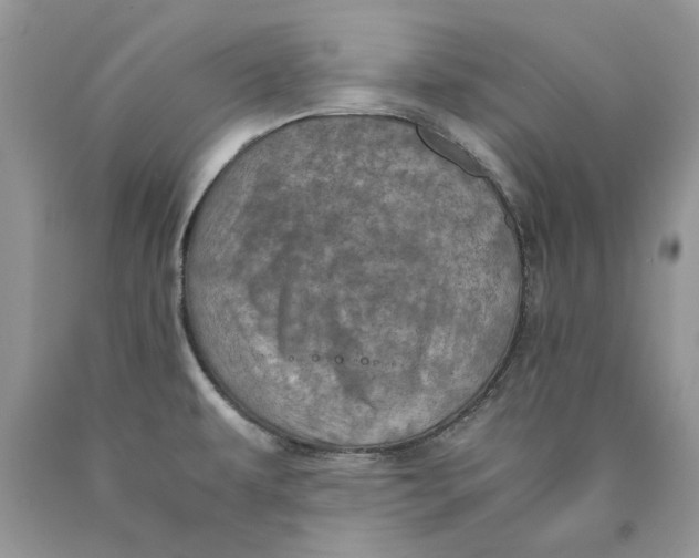 X0000089951479200707271829