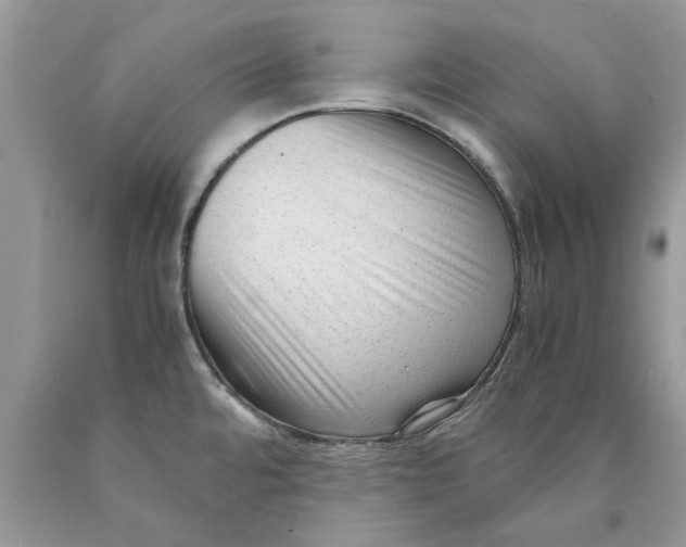 X0000089951480200707271829