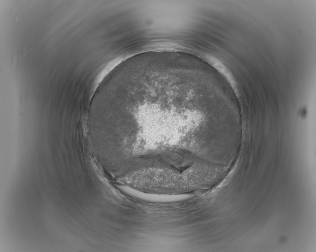 X0000089951481200707271829